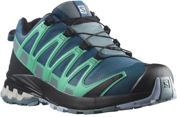 Boty Salomon Xa Pro 3D V8 GTX W Gore-tex 416296