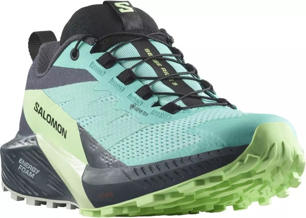 Dámské trailové běžecké boty Salomon Sense Ride 5 GTX W Gore-tex L47216000 24/25