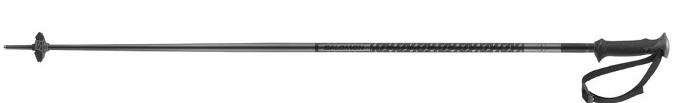 Sjezdové hole Salomon Polar Black L47630800 25/26
