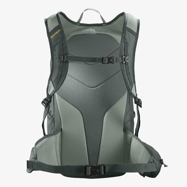 Sportovní batoh Salomon Trailblazer 20 LC2336000 Urban Chic/GREEN MILIEU 25/26