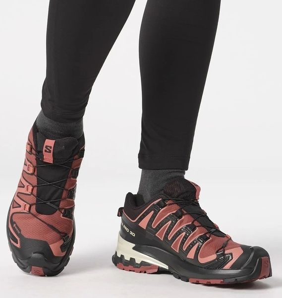 Boty Salomon XA PRO 3D V9 GTX Gote-tex W Cow Hide/Black/Faded Rose L47270900 25/26