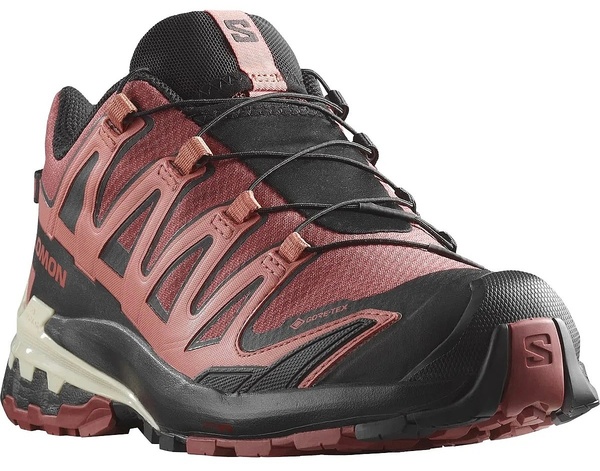 Boty Salomon XA PRO 3D V9 GTX Gote-tex W Cow Hide/Black/Faded Rose L47270900 25/26