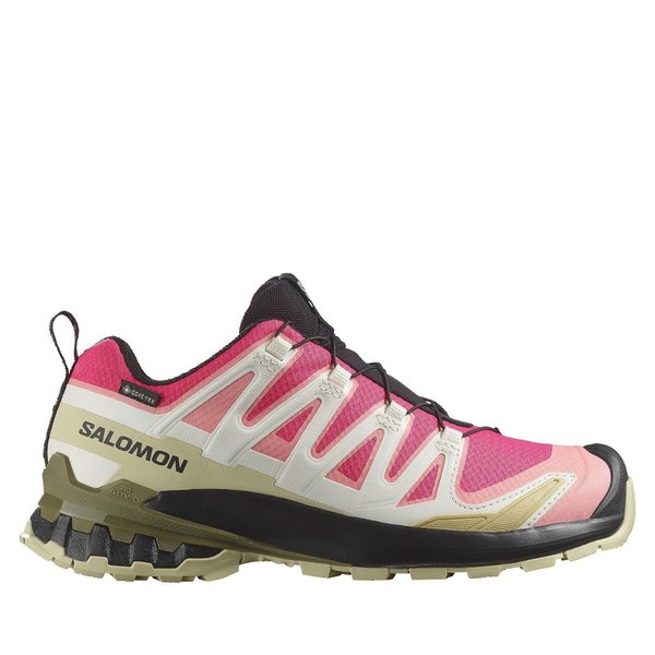 Boty Salomon XA PRO 3D V9 GTX Gote-tex W Rouge red/vanilla/ice martini L47744600 25/26