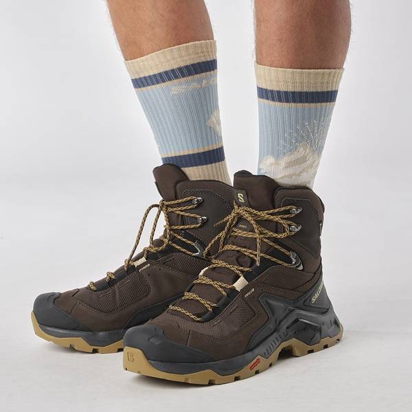 Pánské trekové boty Salomon Quest Element GTX Gore-tex Delicio Black/Dull Gold L47216100 25/26