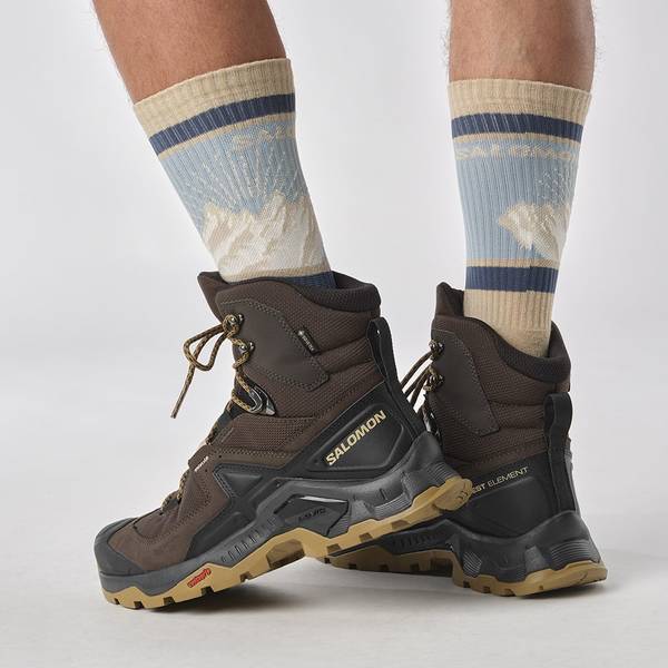 Pánské trekové boty Salomon Quest Element GTX Gore-tex Delicio Black/Dull Gold L47216100 25/26
