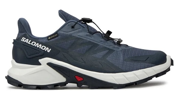 Trailové běžecké boty Salomon Supercross 4 GTX Gore-tex M L47462300 Grisaille/White/Carbon 25/26