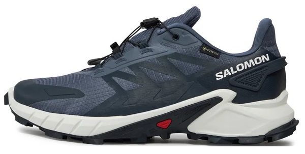 Trailové běžecké boty Salomon Supercross 4 GTX Gore-tex M L47462300 Grisaille/White/Carbon 25/26