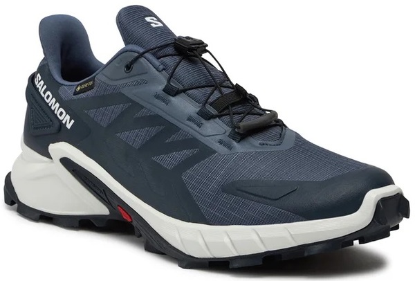 Trailové běžecké boty Salomon Supercross 4 GTX Gore-tex M L47462300 Grisaille/White/Carbon 25/26