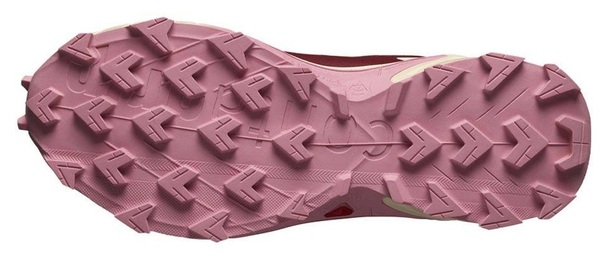 Trailové běžecké boty Salomon Supercross 4 GTX Gore-tex W L47316800 Cow Hide/Syrah/Blush 25/26