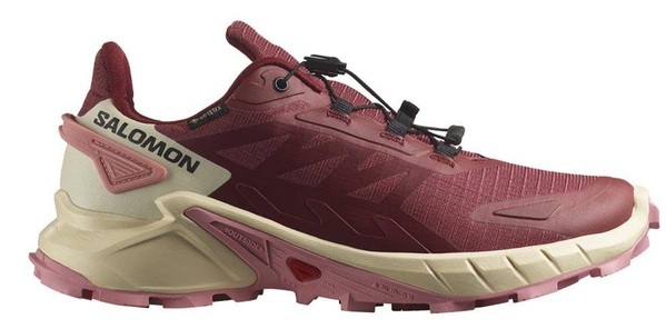 Trailové běžecké boty Salomon Supercross 4 GTX Gore-tex W L47316800 Cow Hide/Syrah/Blush 25/26