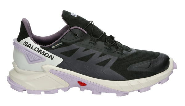 Trailové běžecké boty Salomon Supercross 4 GTX Gore-tex W L47461800 Black/Vanilla Ice/Orchid Petal 25/26