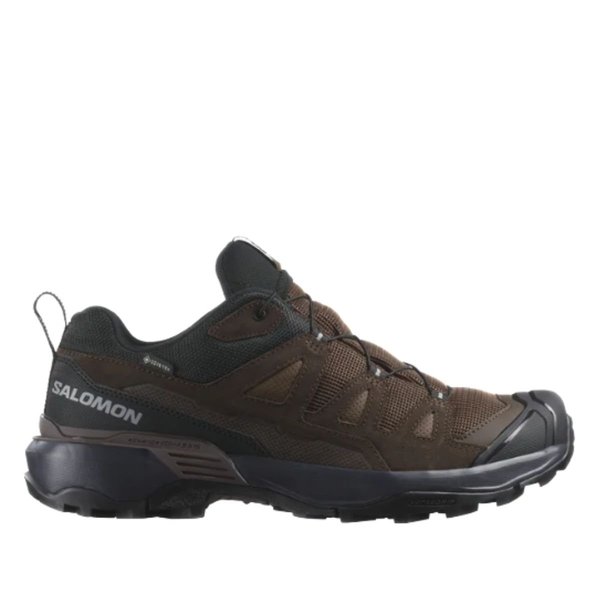 Trekové boty Salomon X ULTRA 360 LTR GTX Gore-Tex Man L47571200 Dark earth/delicioso/sharkski 25/26