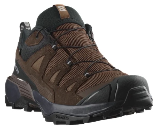 Trekové boty Salomon X ULTRA 360 LTR GTX Gore-Tex Man L47571200 Dark earth/delicioso/sharkski 25/26
