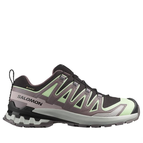 Dámské trailové běžecké boty Salomon XA PRO 3D V9 GTX Gore-tex W L47882300 26/27